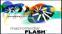 Enter Flash Enhanced Site 