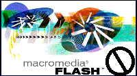 Enter Non-Flash Enhanced Site 